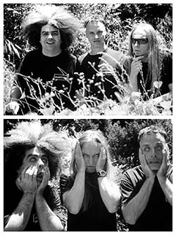 Melvins