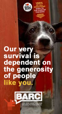 Bali Dog Adoption and Rehabilitation Center