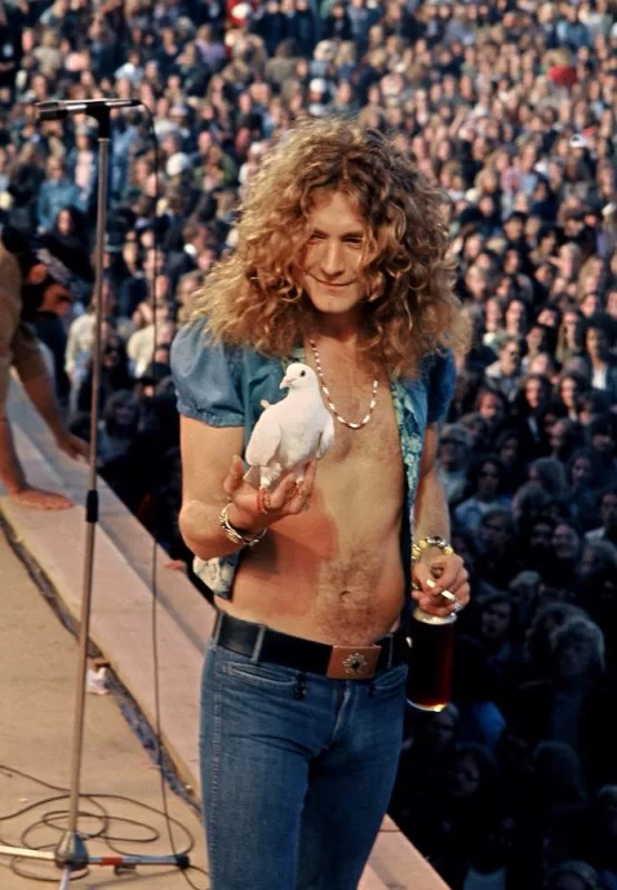 Robert Plant, 1973 | Foto oleh James Fortune